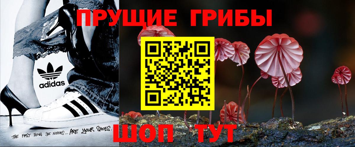 Псилоцибиновые грибы мухоморы  Вход с VPN  где купить наркоту  Дятьково 
